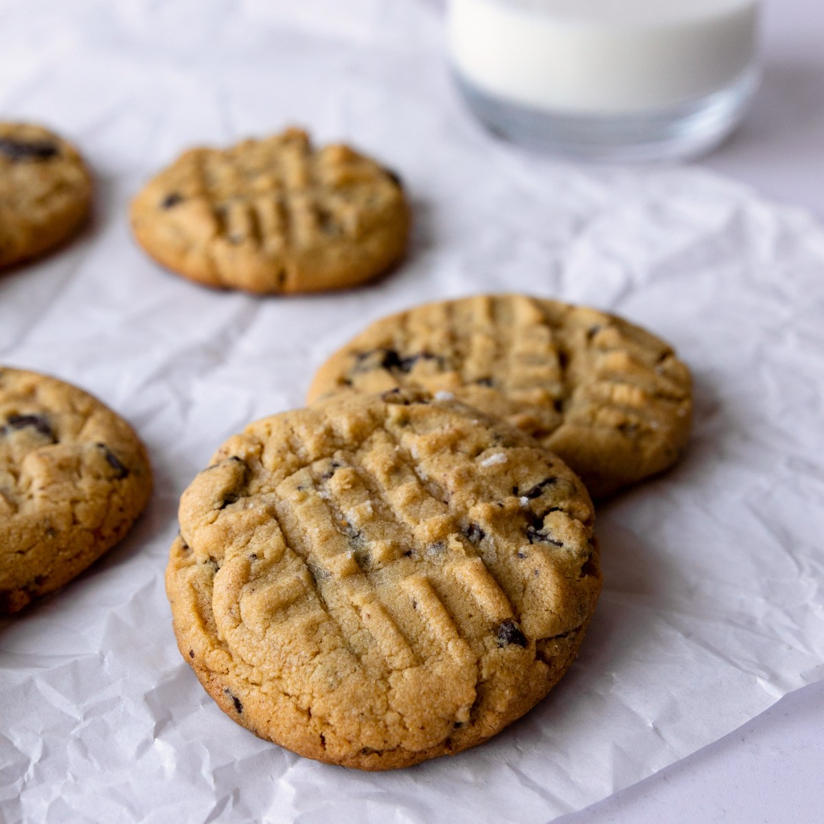 Peanut Butter Chocolate Chunk Cookies